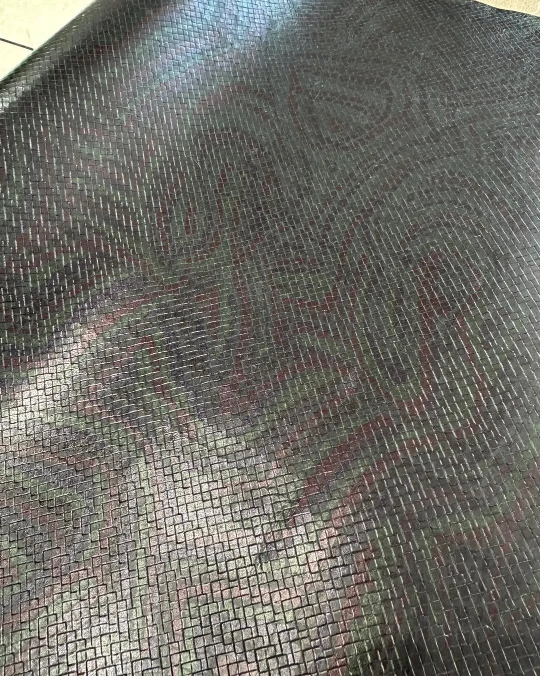 【見た目、ただの“黒”だと思ったら…】