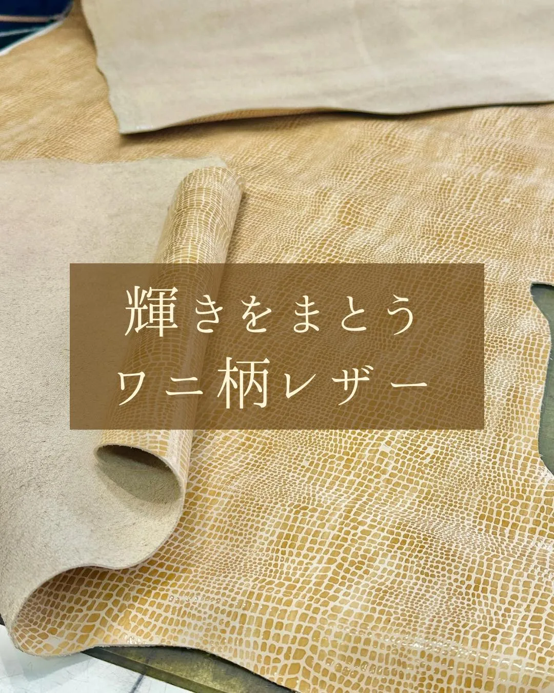 ＼牛革 × ワニ柄フィルム加工 ／