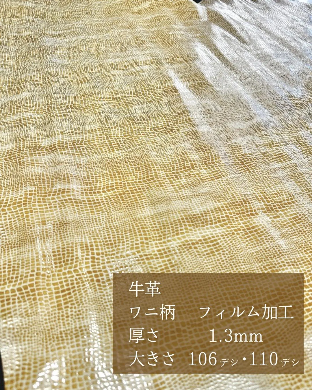 ＼牛革 × ワニ柄フィルム加工 ／