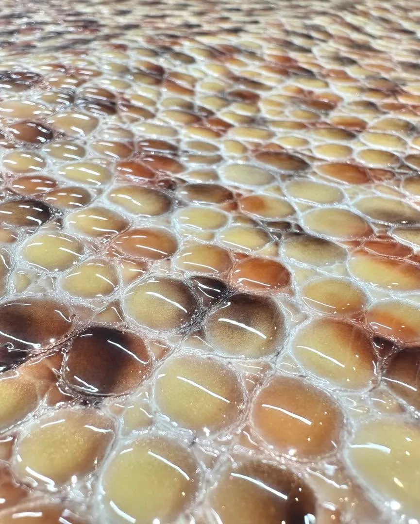 🐄光をまとった『チョコチップカラーのレザー』✨