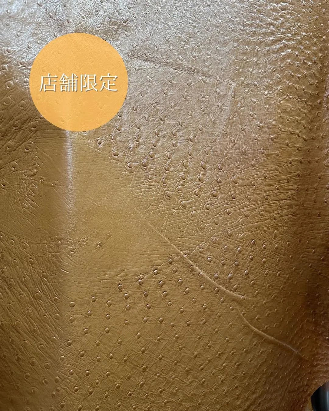 🐄 光をまとった“オーストリッチ型押し風レザー”✨