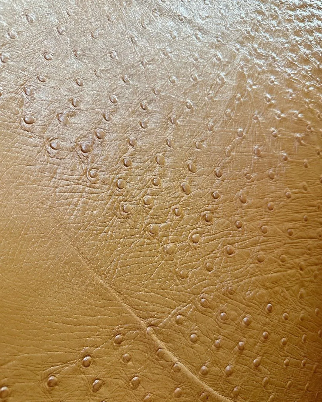 🐄 光をまとった“オーストリッチ型押し風レザー”✨