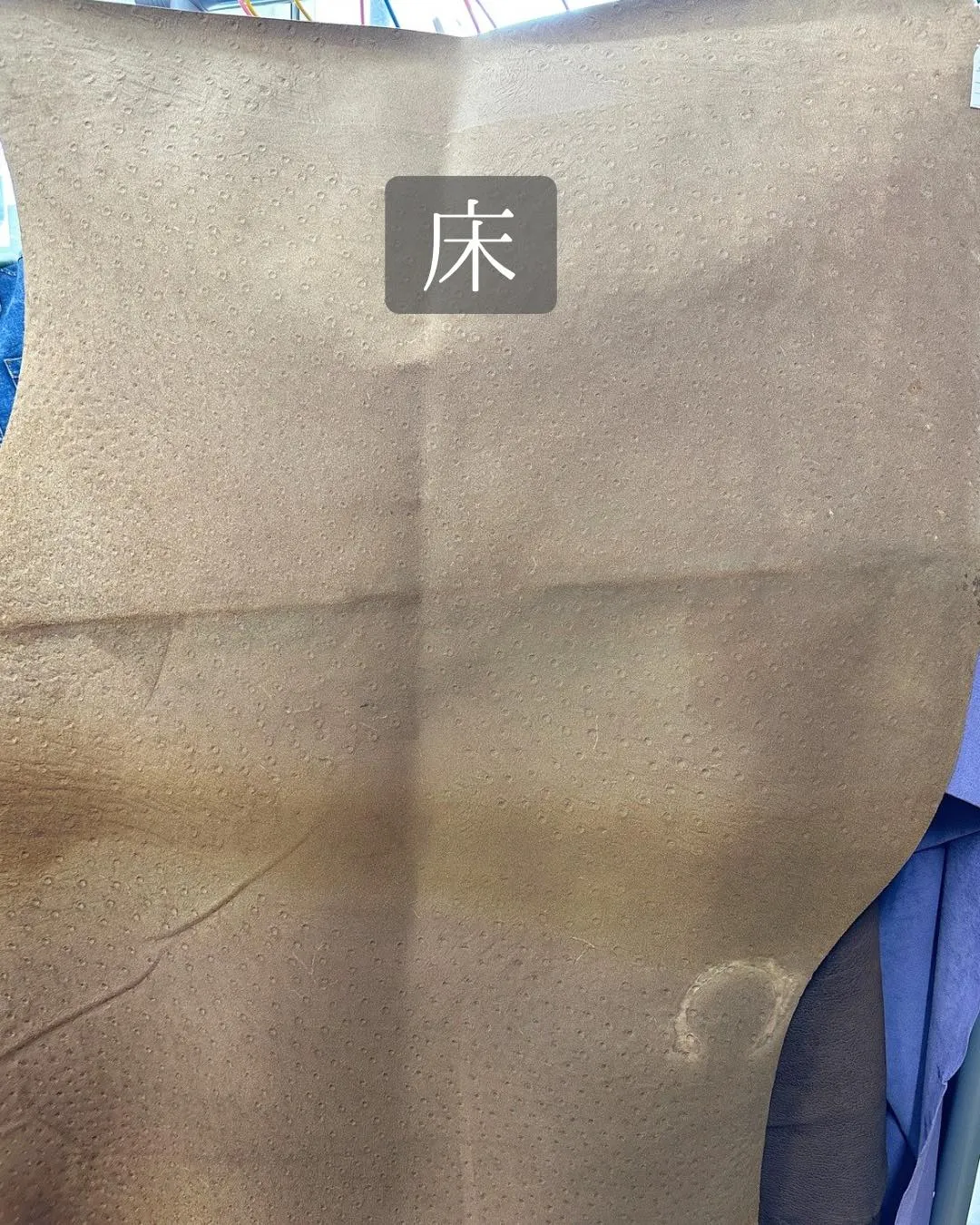 🐄 光をまとった“オーストリッチ型押し風レザー”✨