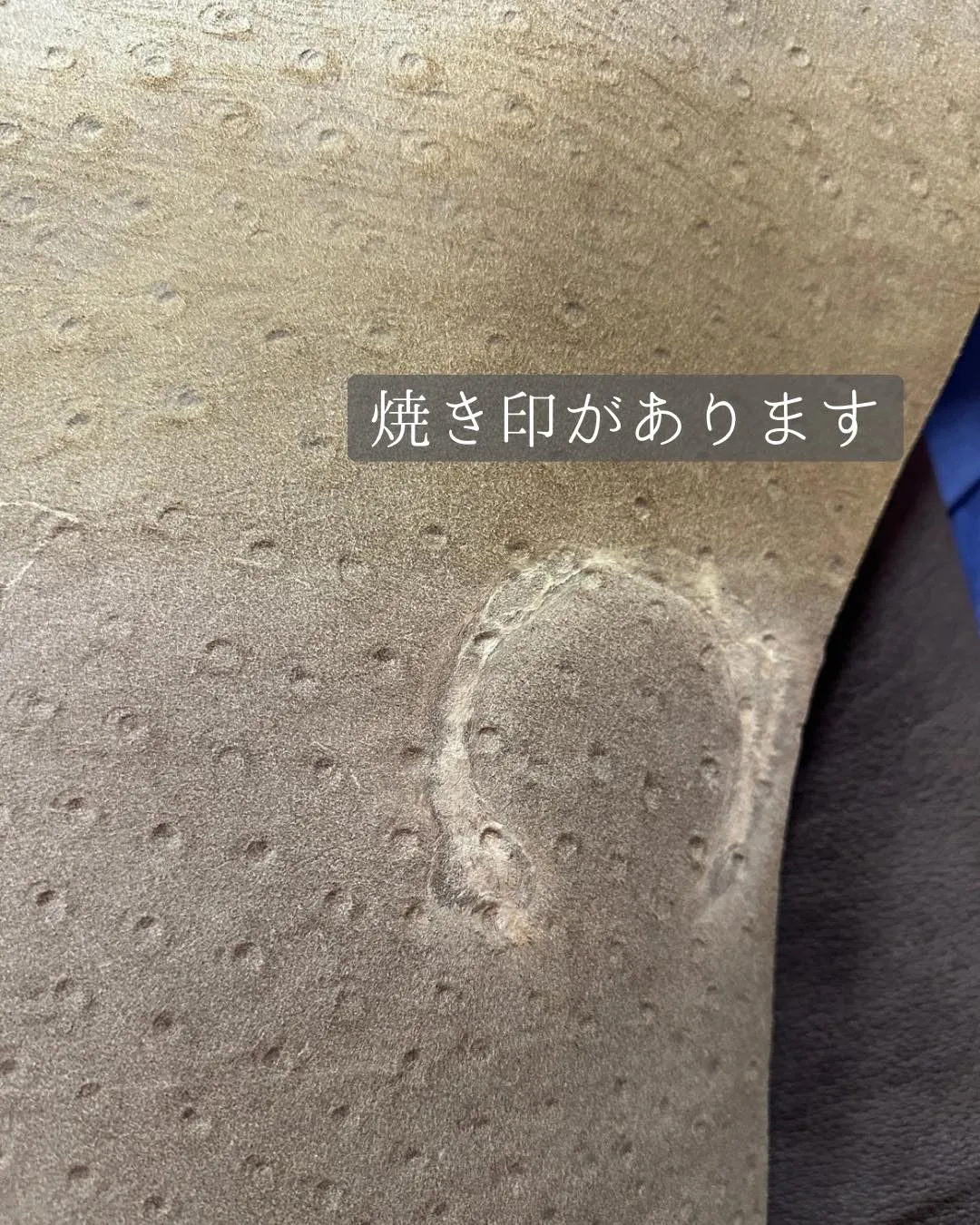 🐄 光をまとった“オーストリッチ型押し風レザー”✨