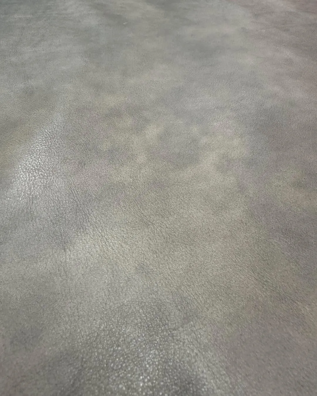 đ ăăŁă¨ĺăăăŽăŤăŻĺşäźăăžăăďź