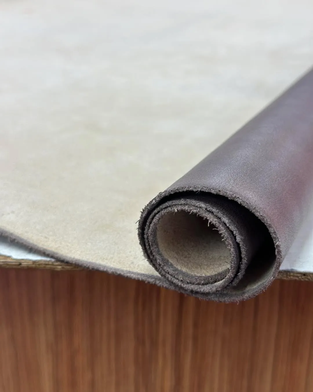 đ ăăŁă¨ĺăăăŽăŤăŻĺşäźăăžăăďź