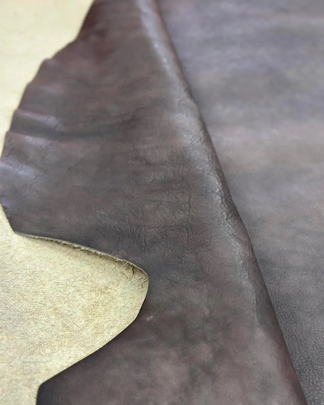 đ ăăŁă¨ĺăăăŽăŤăŻĺşäźăăžăăďź