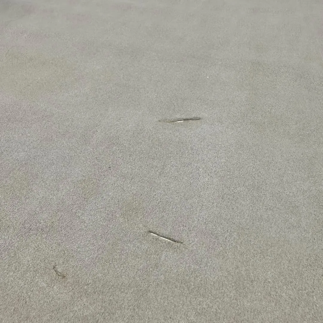 đ ćăŤăăçŹéăăăăă¤ăłăăźăăŽä¸čłŞă