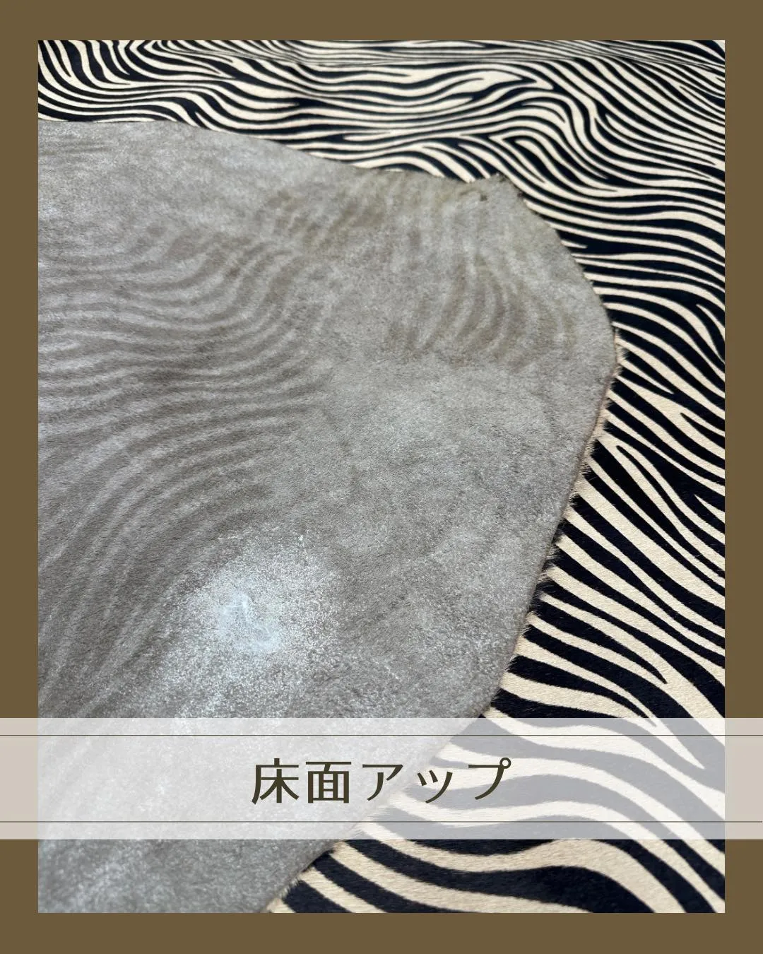 🐄ひと目見て「おっ…!」と心をつかむ存在感