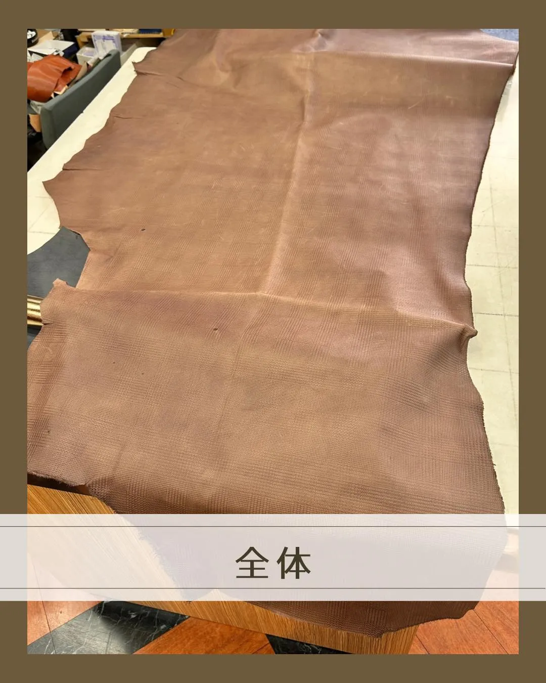 🐄ひっそり眠っていた、優秀な一枚‼️