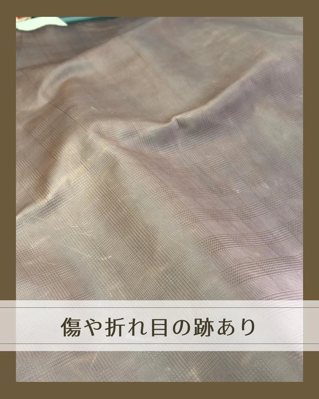 🐄ひっそり眠っていた、優秀な一枚‼️