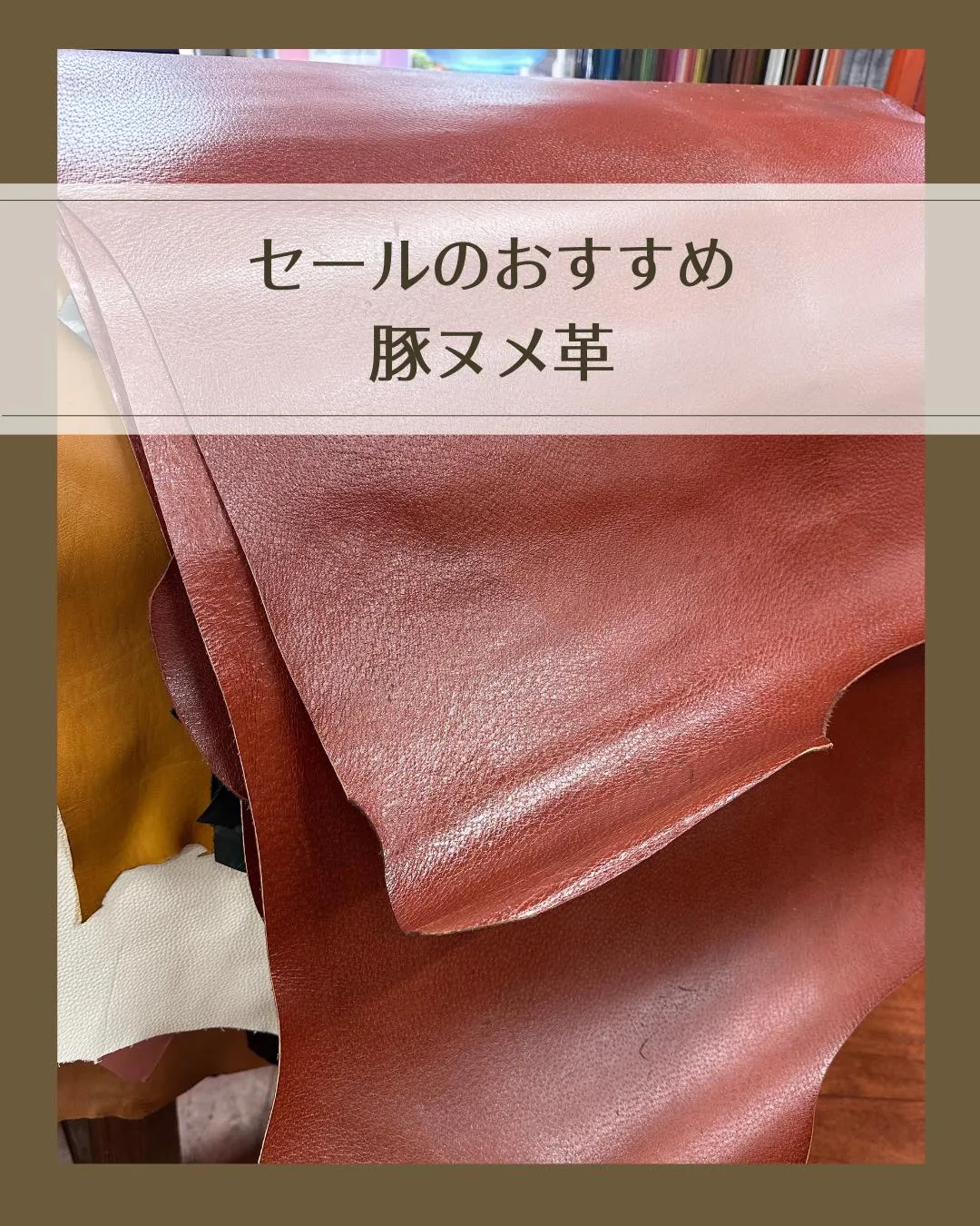 ✨🐷セールおすすめ革✨