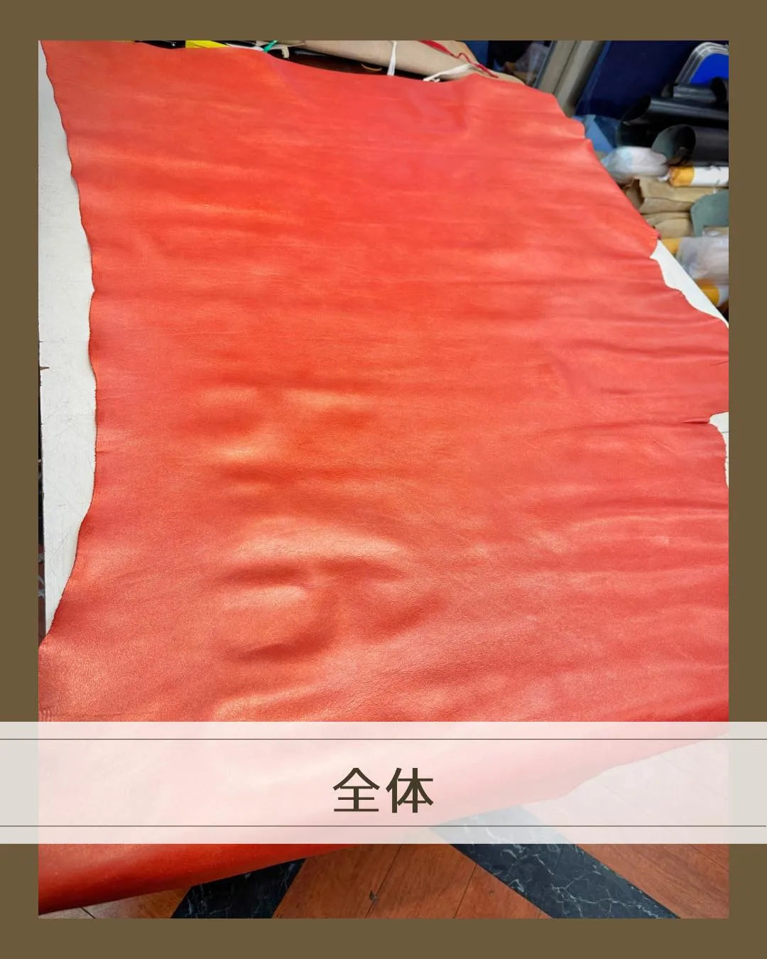 ๐ใใใใใใใญใใจ่จใฃใฆใใใใๆฅใใ