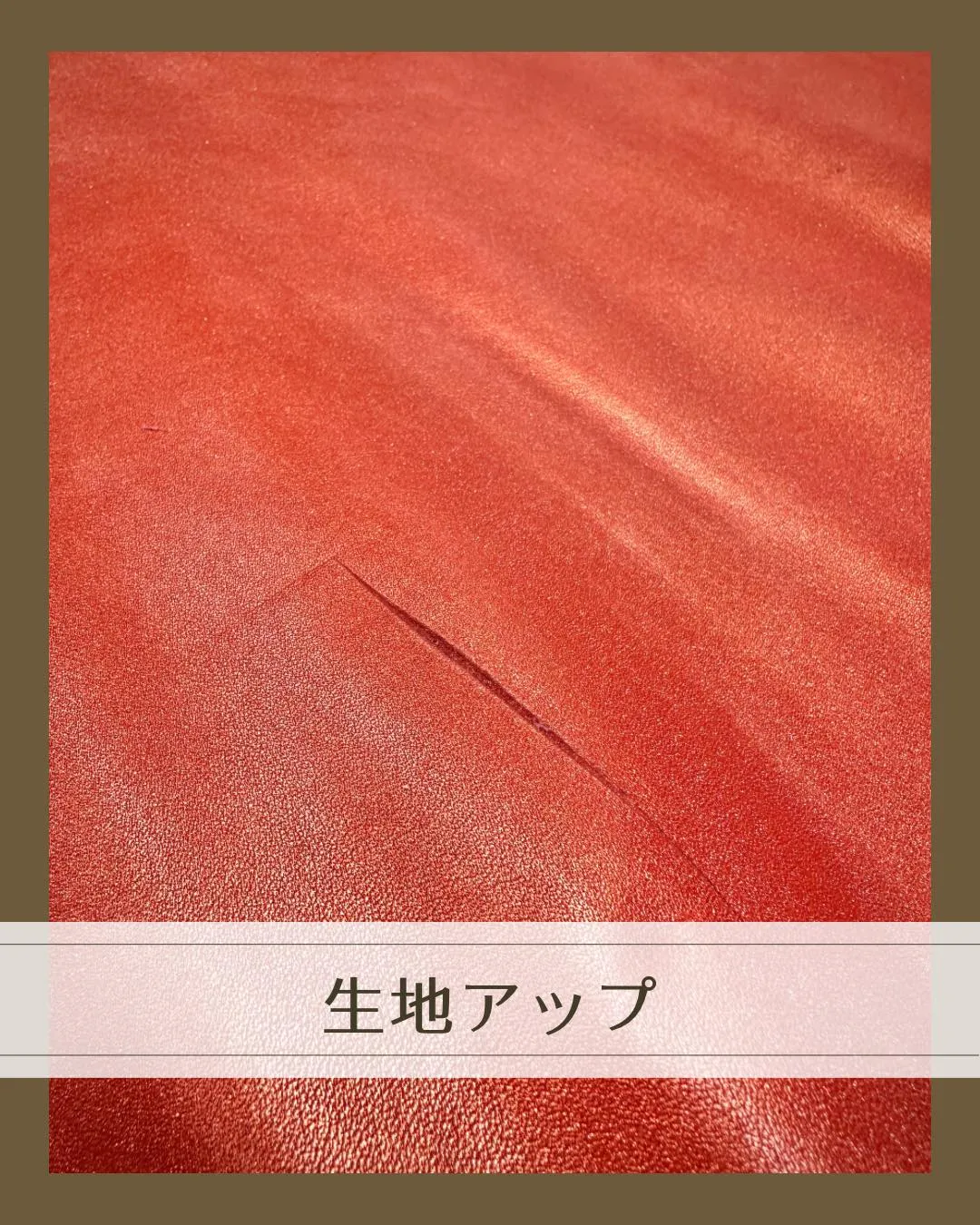 ๐ใใใใใใใญใใจ่จใฃใฆใใใใๆฅใใ