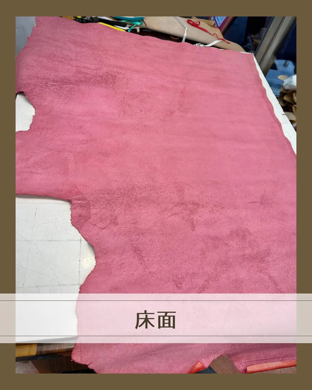 ๐ใใใใใใใญใใจ่จใฃใฆใใใใๆฅใใ