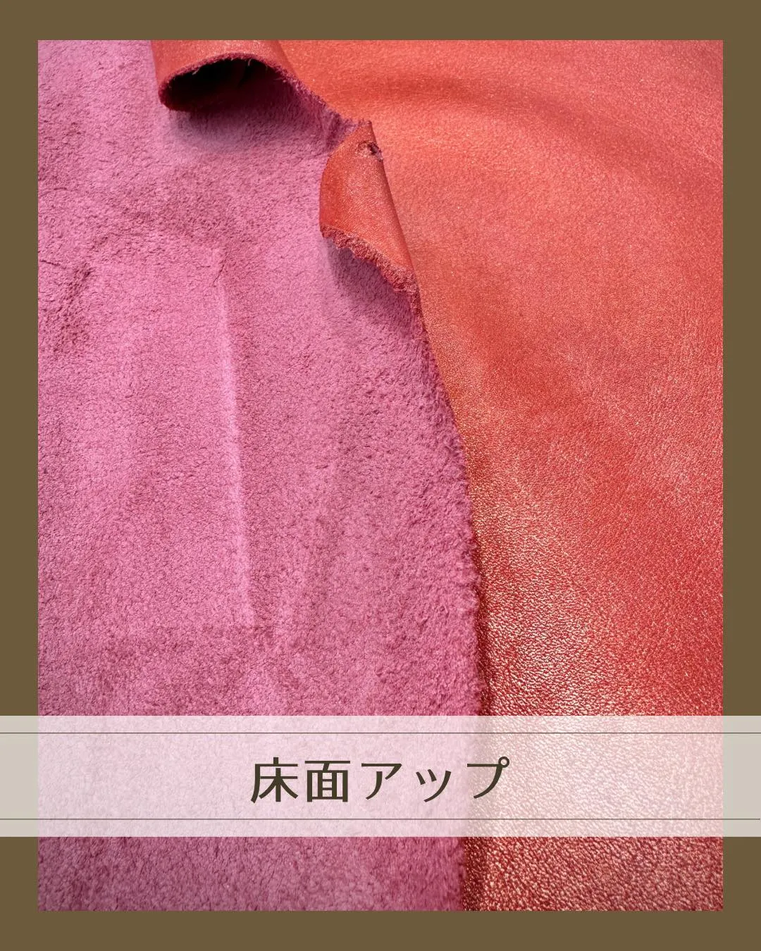 ๐ใใใใใใใญใใจ่จใฃใฆใใใใๆฅใใ