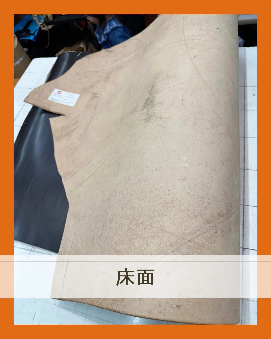 立てると、立つ革！