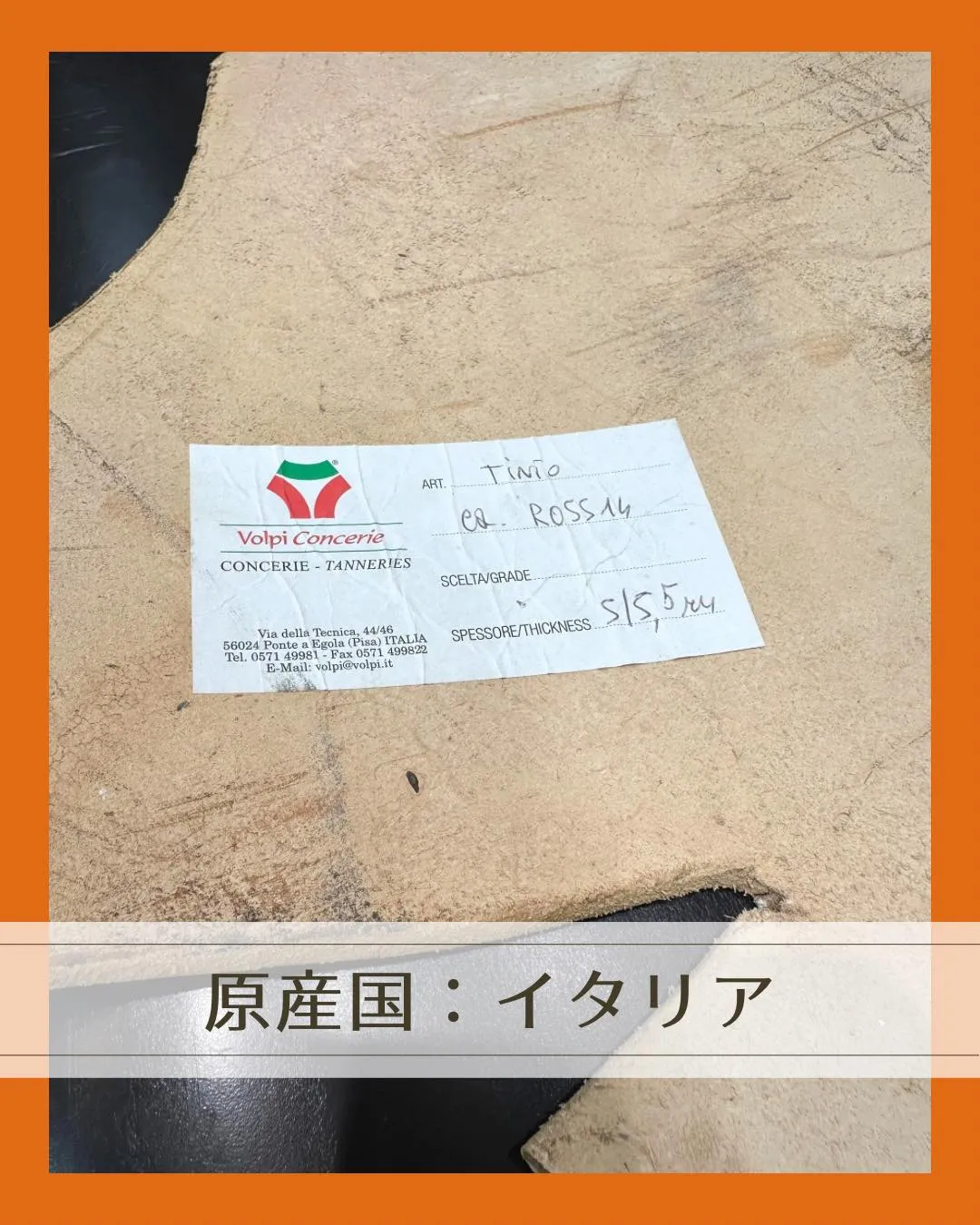 立てると、立つ革！