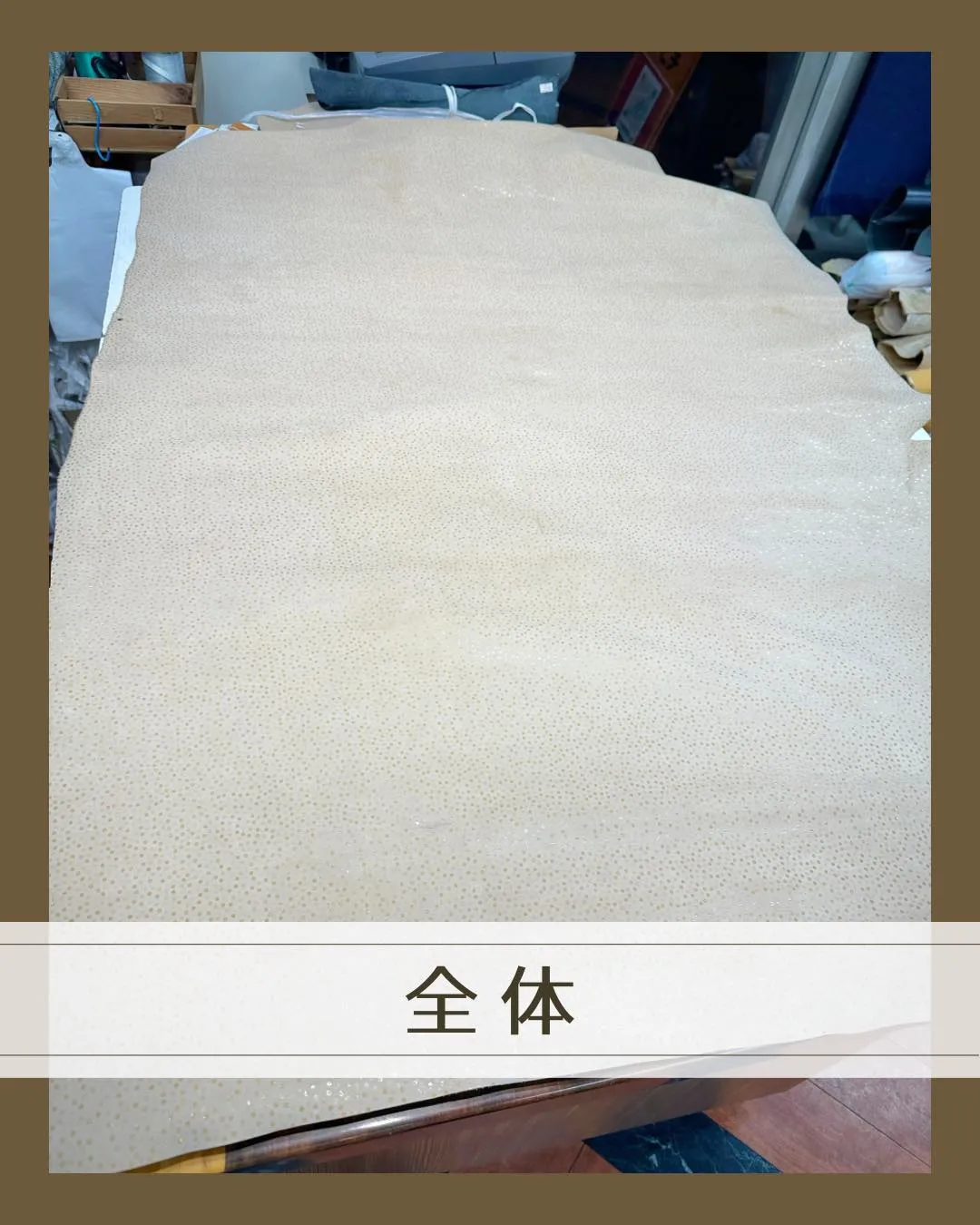 ベージュの中に、きらっと小さな水玉🫧