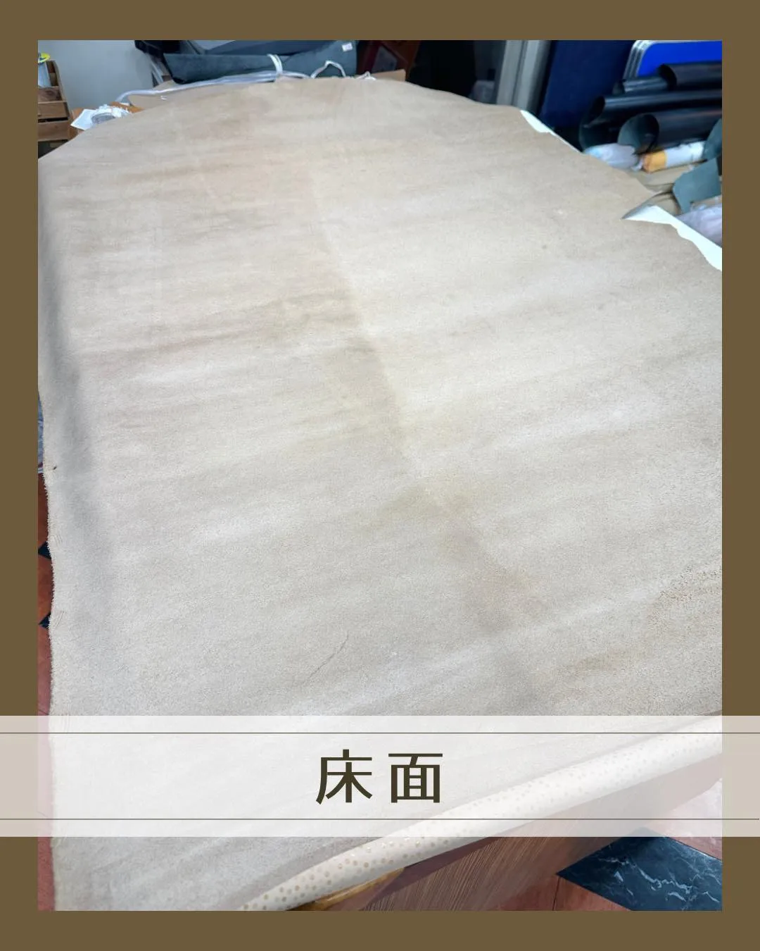 ベージュの中に、きらっと小さな水玉🫧