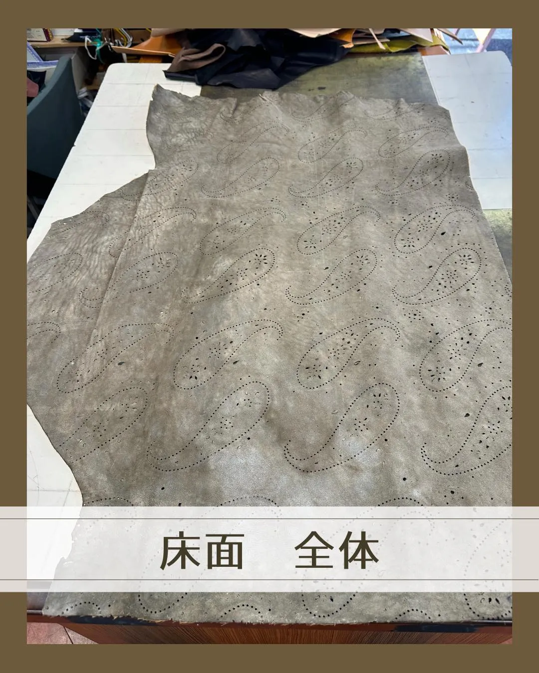 これは、ちょっと珍しい革です👀