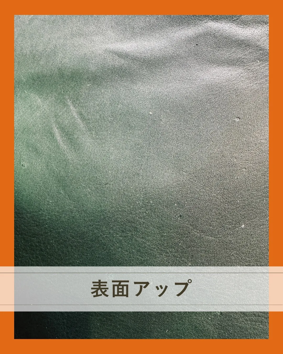 このグリーン、ちょっと珍しいです👀