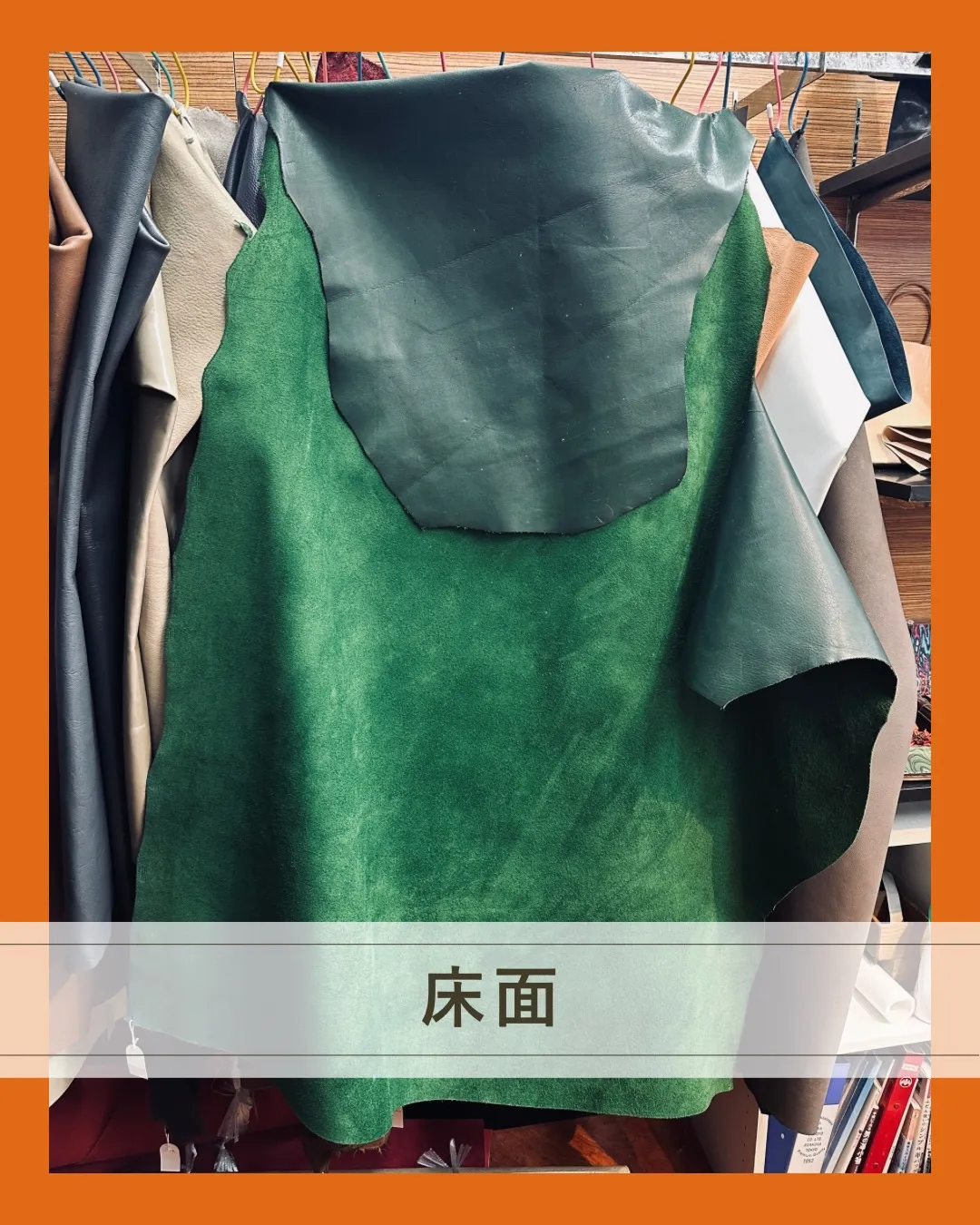 このグリーン、ちょっと珍しいです👀