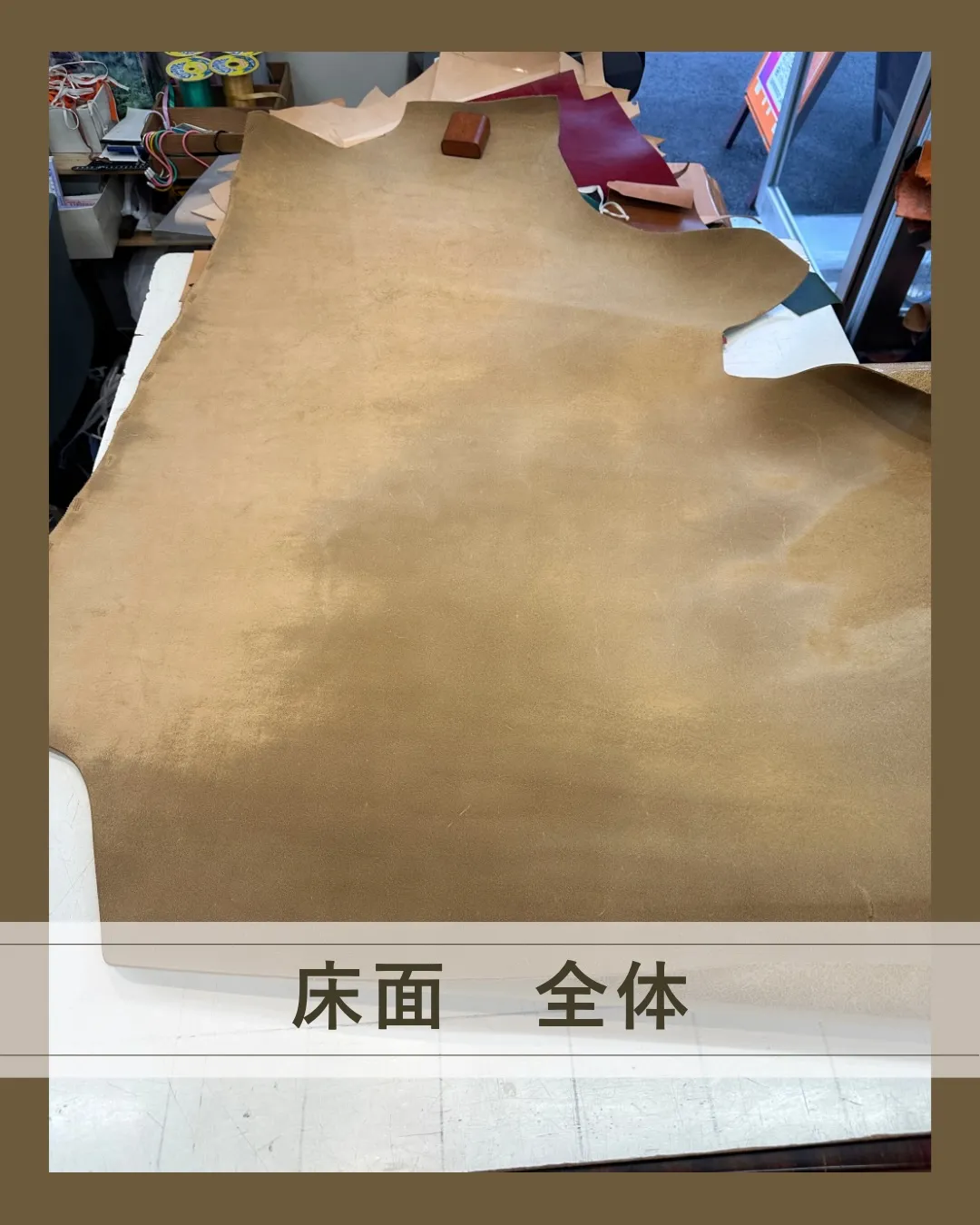 この表情、一目惚れする人いると思う😍