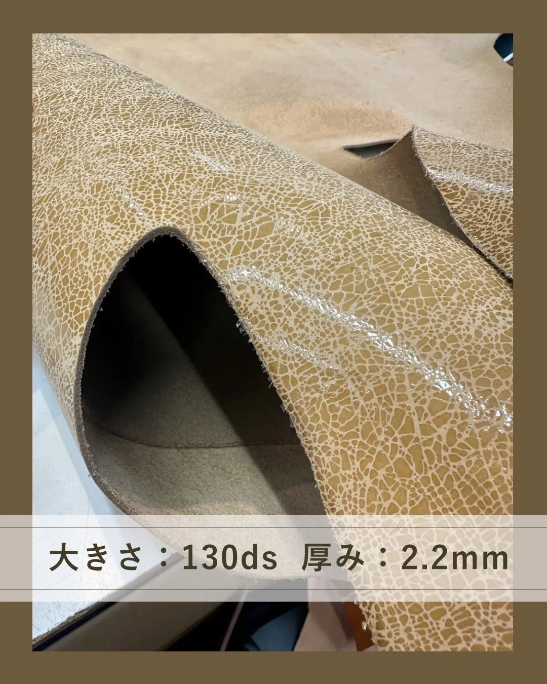 この表情、一目惚れする人いると思う😍