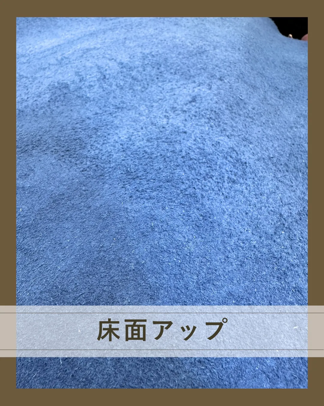 去年、あっという間に旅立っていった革!