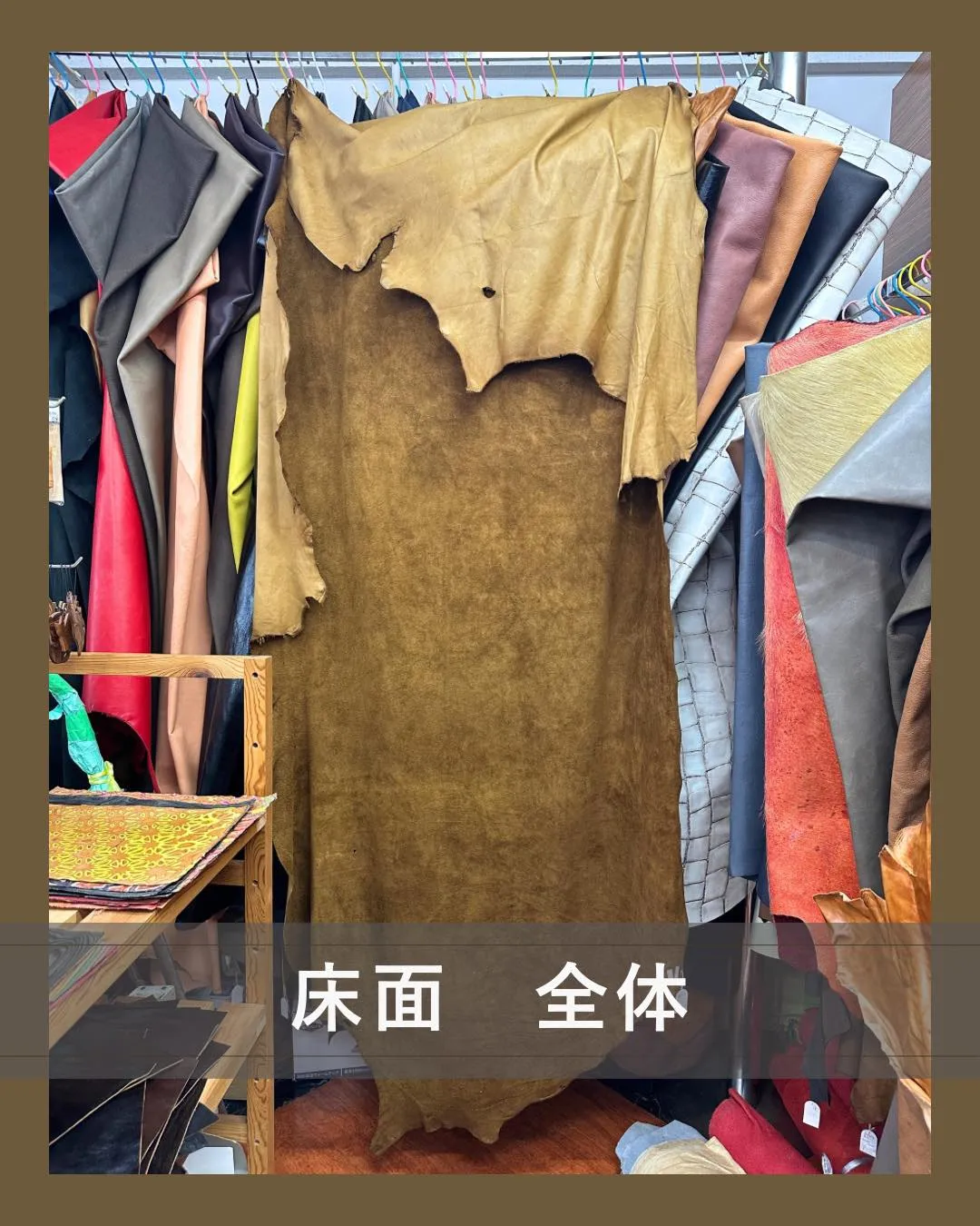 ✨オススメの半裁✨