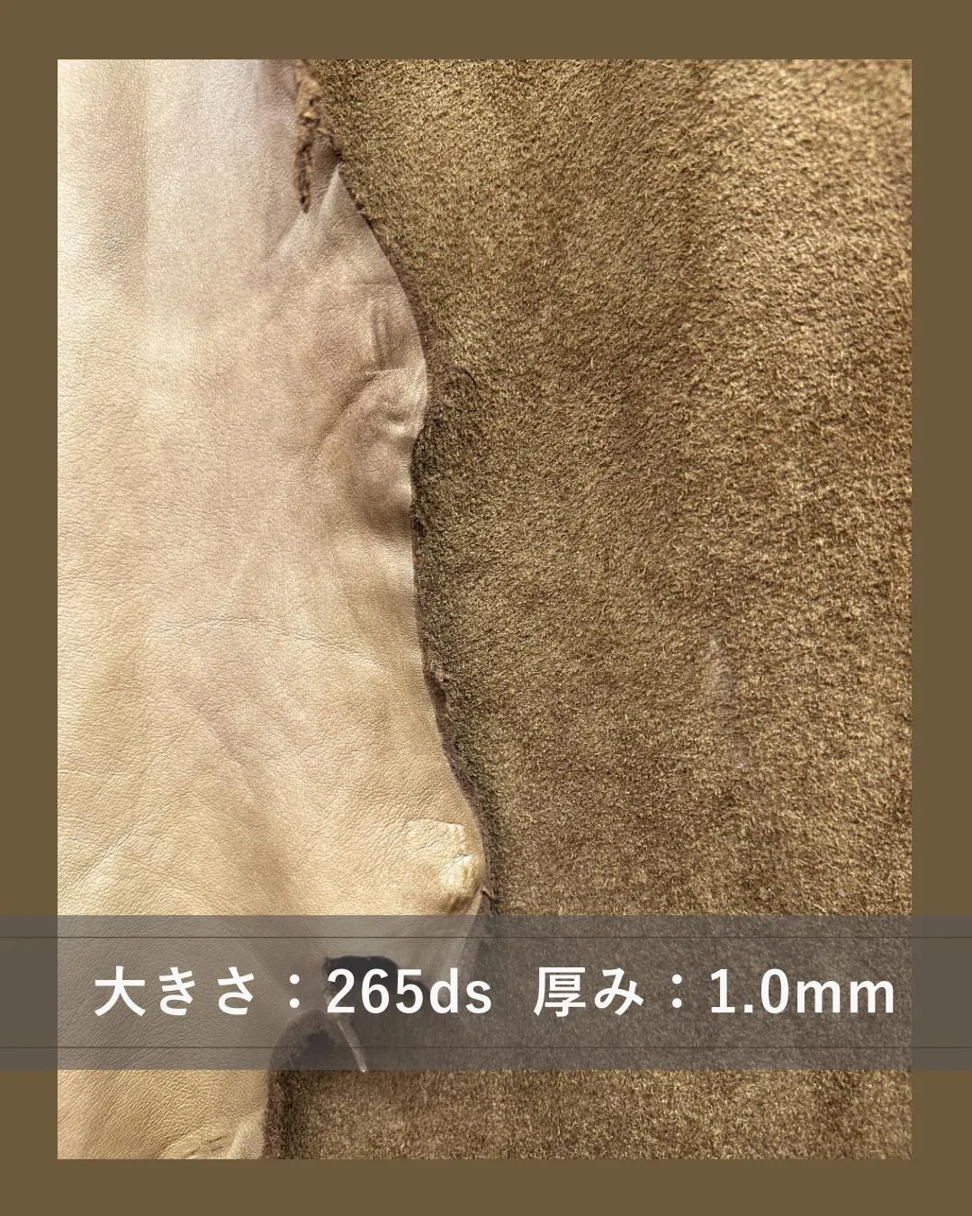 ✨オススメの半裁✨