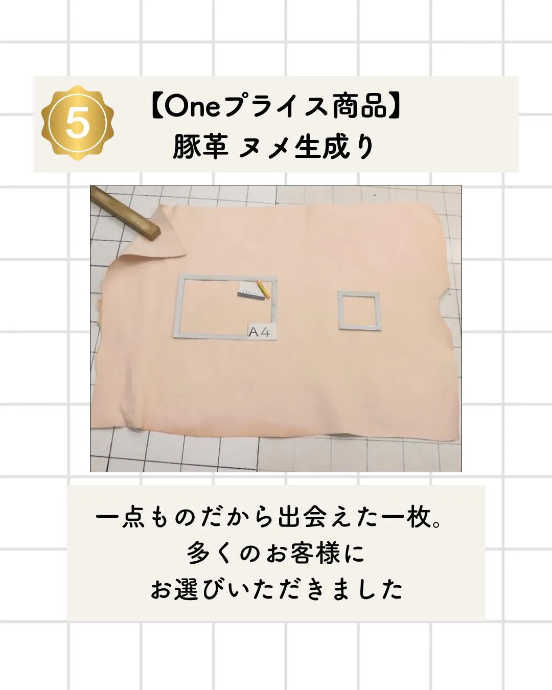 🏆 2026サマーセール