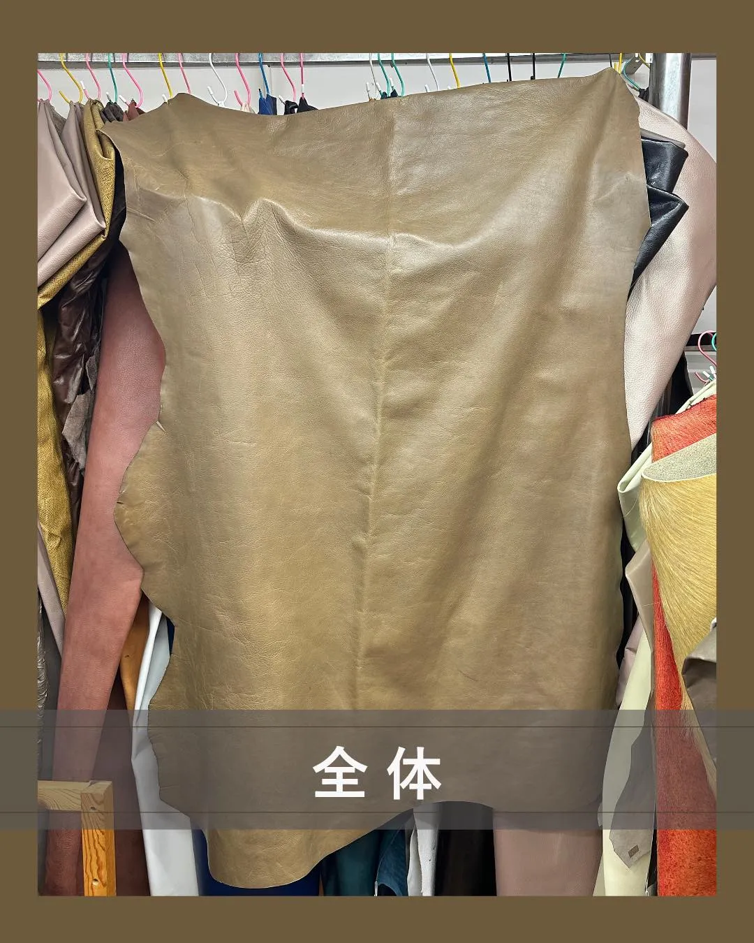 カーキとひと言では表せない、この色!