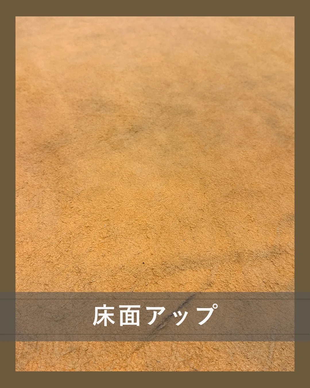 見た瞬間、「どう使う？」が始まる革