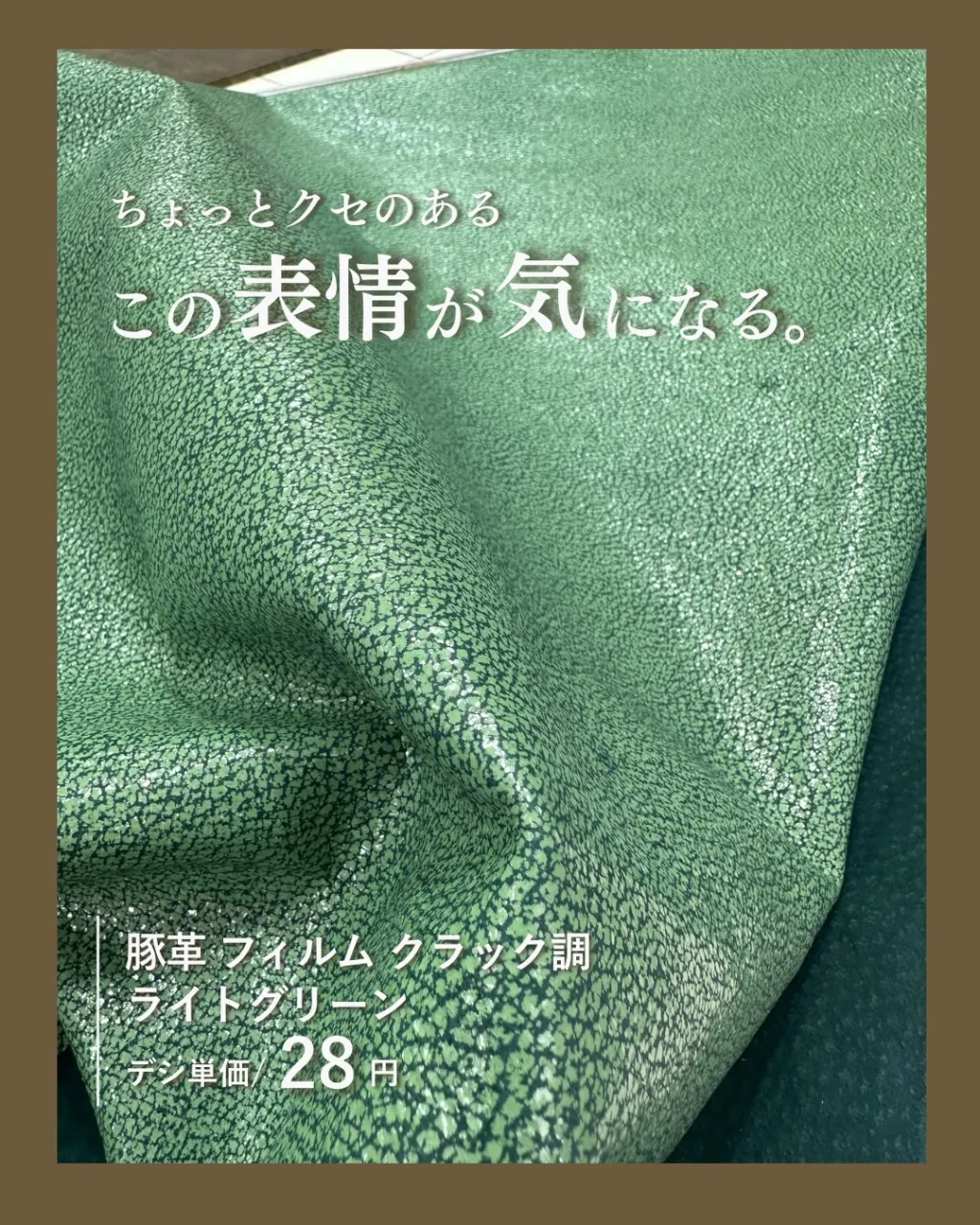 やっぱり、緑って気になる👀