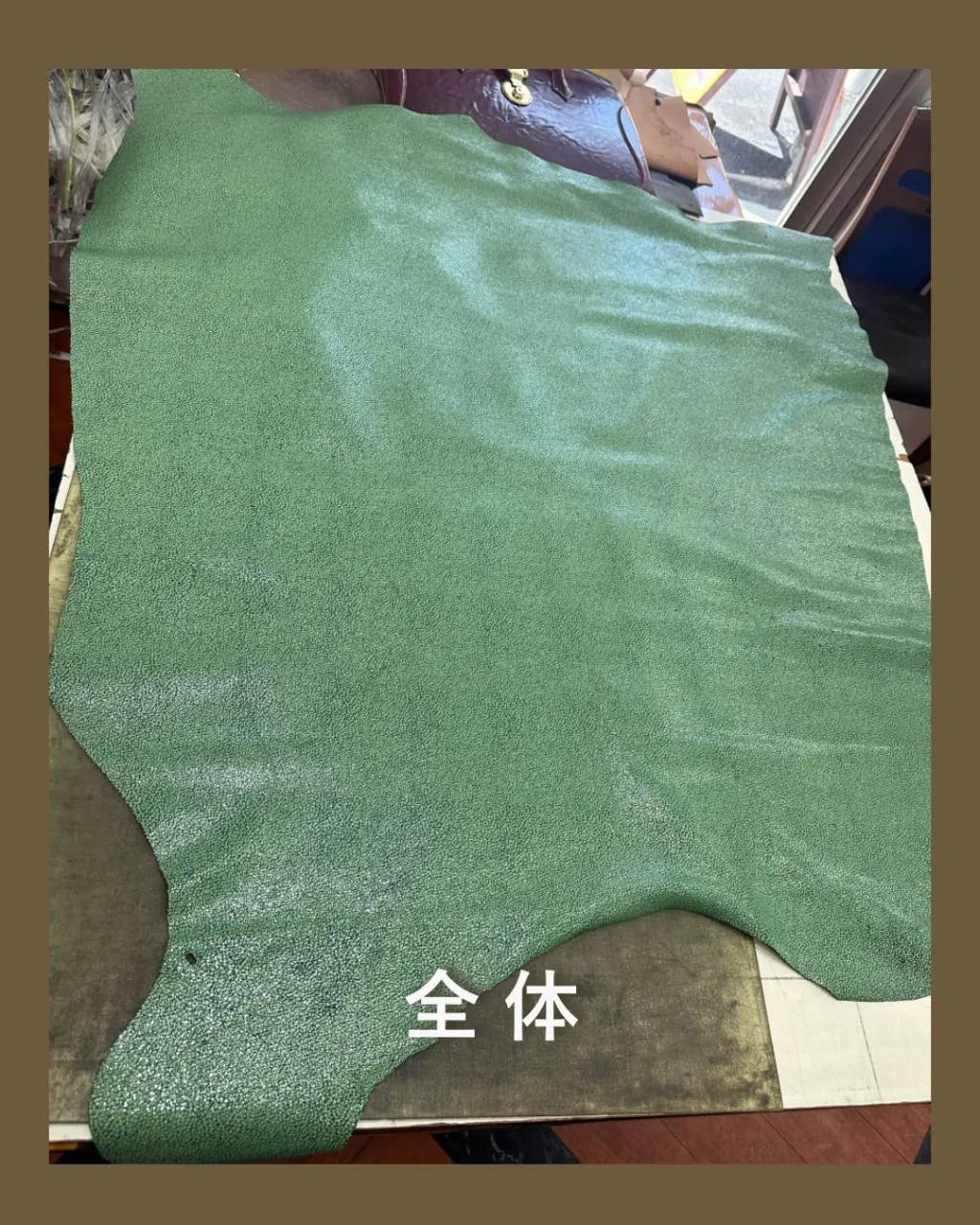 やっぱり、緑って気になる👀