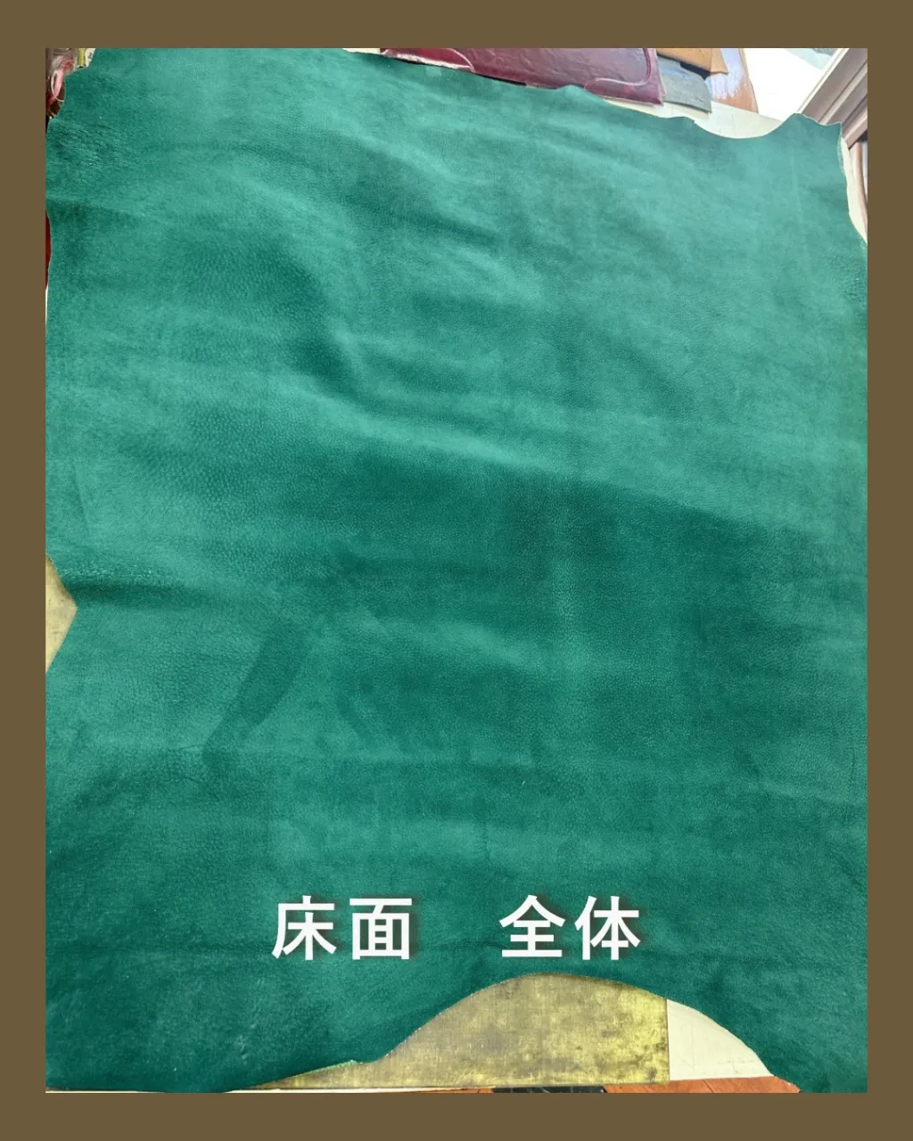 やっぱり、緑って気になる👀