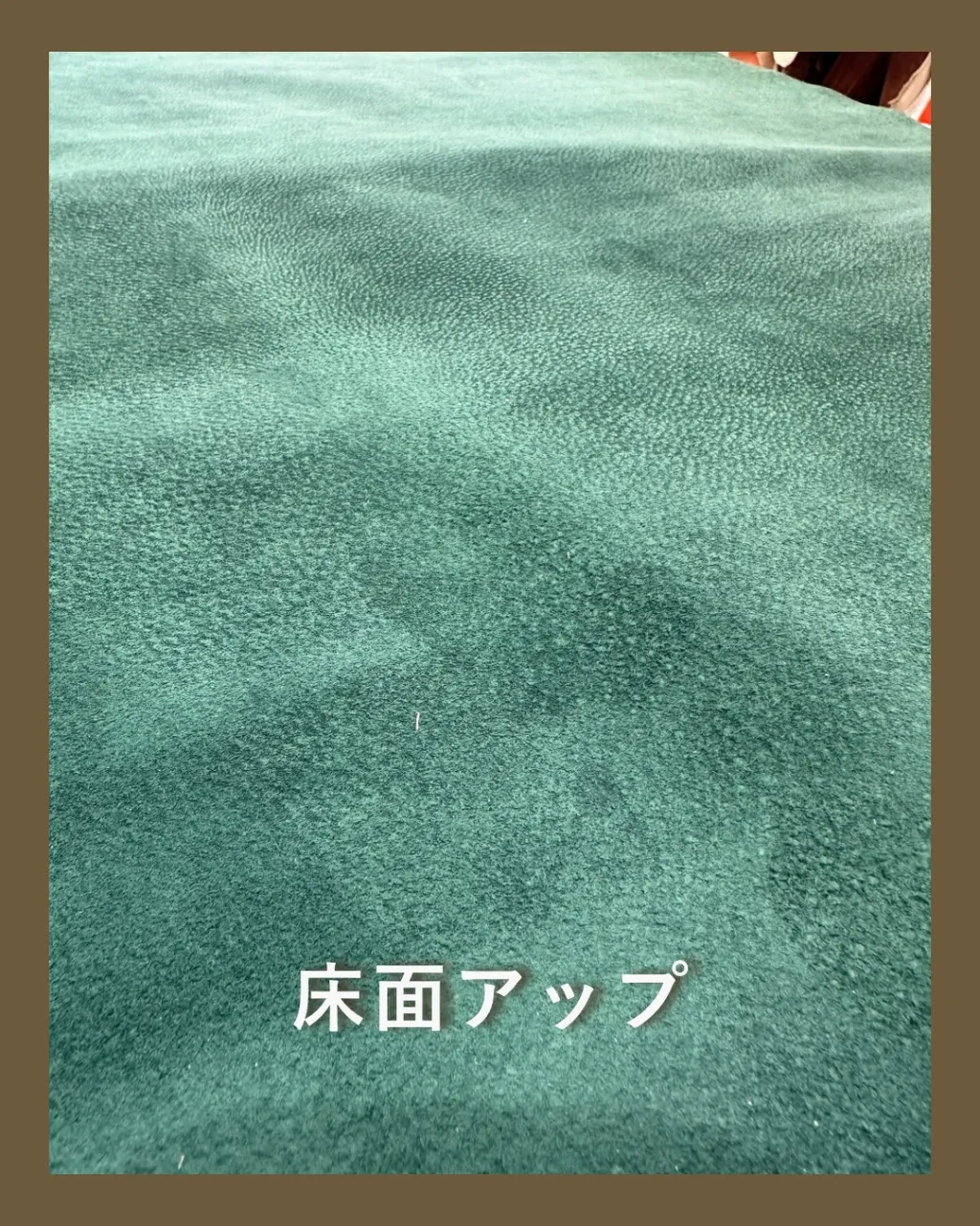 やっぱり、緑って気になる👀